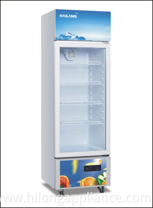 Single Door Upright Display Refrigerator